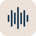 voice